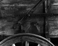 WAGON DETAIL, BODIE 2003