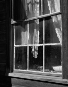 LACE CURTAINS, BODIE 2006