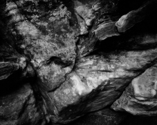 ROCK DETAIL, ZION 2009