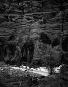 ROCK CLIFFS, ZION NP 2010