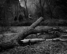 FALL 2008, ZION CANYON