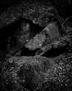 NEAR WEEPING ROCK, ZION NP 2011