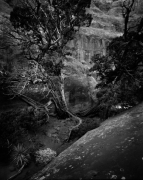 NARROW VALLEY, ARCHES N.P.