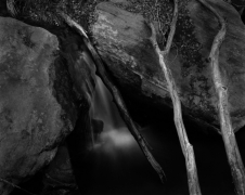 THREE STICKS, ZION NP 2011