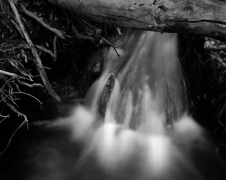 CASCADE, ZION 2011