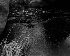 ICE ON CLEAR CREEK, ZION 2011