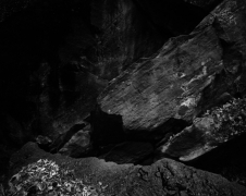 NEAR WEEPING ROCK, ZION NP 2011