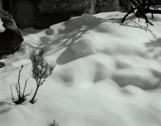 SNOW, NATURAL BRIDGES NP