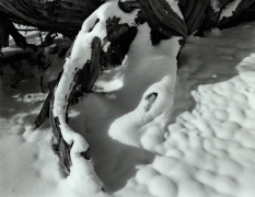 WOOD & SNOW, ARCHES NP 2011