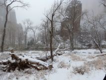 067-Trip2012-069.jpg