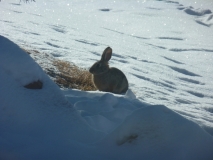 086-Trip2012-089.jpg