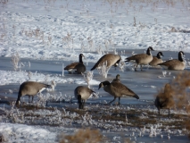 092-Trip2012-095.jpg